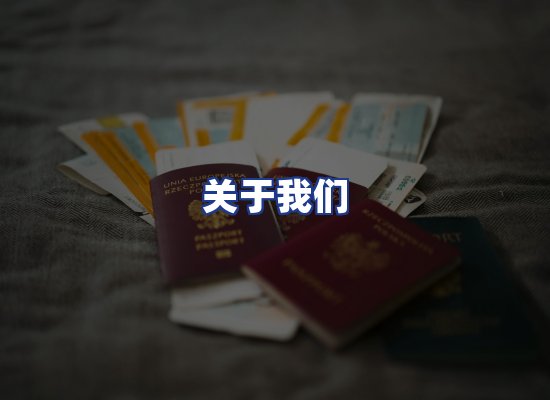 专业团队